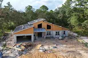 30551 Saffron Ave, Eustis, FL 32736 - Photo 4