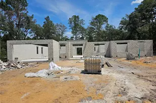 30551 Saffron Ave, Eustis, FL 32736 - Photo 12