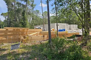 30551 Saffron Ave, Eustis, FL 32736 - Photo 14