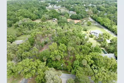 7343 Lake Ola Drive, Mount Dora, FL 32757 - Photo 4