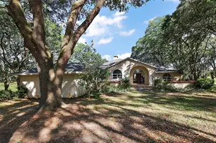 27011 SE Hwy 42, Umatilla, FL 32784 - Photo 1