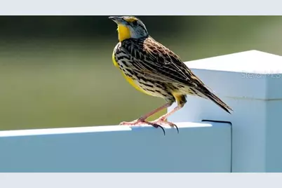 9413 SE 49th Terrace, Webster, FL 33597 - Photo 34