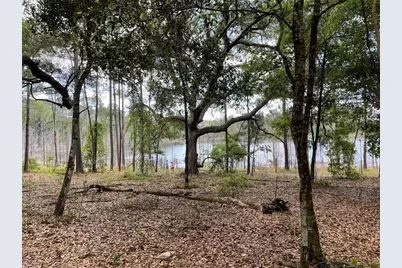 Se 49th Street Road, Ocklawaha, FL 32183 - Photo 2