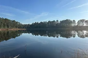 SE 49th Street Rd, Ocklawaha, FL 32183 - Photo 1