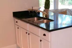 1225 E 1st Ave, Mount Dora, FL 32757 - Photo 8