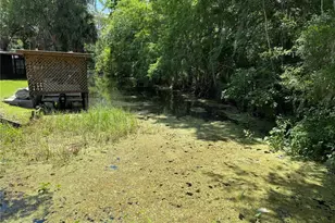 26 Canal Way, Lake Panasoffkee, FL 33538 - Photo 64