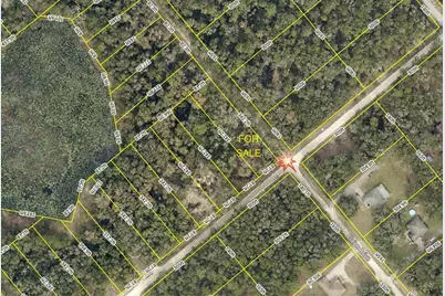 Smallman Street, Webster, FL 33597 - Photo 2
