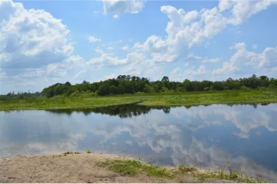 14186 NE 199th Place, Fort Mc Coy, FL 32134 - Photo 42
