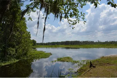 14186 NE 199th Place, Fort Mc Coy, FL 32134 - Photo 40