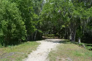 14186 NE 199th Pl, Fort Mc Coy, FL 32134 - Photo 44