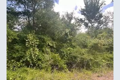 Hardstone Drive, Webster, FL 33597 - Photo 2