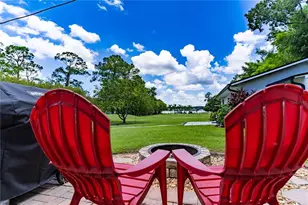 4634 Bigler Ln, Mount Dora, FL 32757 - Photo 56