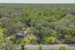 2634 Cr 416N, Lake Panasoffkee, FL 33538 - Photo 38