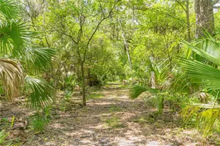 2634 Cr 416N, Lake Panasoffkee, FL 33538 - Photo 34