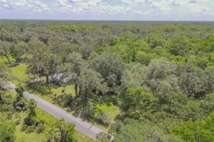 2634 Cr 416N, Lake Panasoffkee, FL 33538 - Photo 40