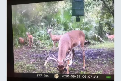 2634 Cr 416N, Lake Panasoffkee, FL 33538 - Photo 46