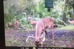 2634 Cr 416N, Lake Panasoffkee, FL 33538 - Photo 46