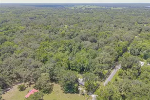 2634 Cr 416N, Lake Panasoffkee, FL 33538 - Photo 42
