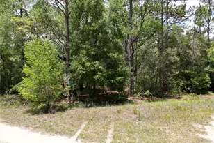 0000 SW 159th Ave Rd, Ocala, FL 34481 - Photo 1