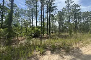 0000 SW 157th Ave, Ocala, FL 34481 - Photo 1