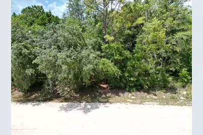 0000 SW 16th Place, Ocala, FL 34481 - Photo 2