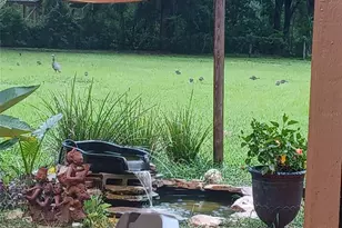 672 E Belt Ave, Bushnell, FL 33513 - Photo 28