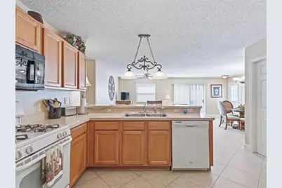 1199 Mathews Lane, The Villages, FL 32162 - Photo 12
