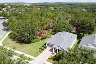 101 Flame Vine Way, Groveland, FL 34736 - Photo 54