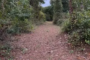 15518 State Road 19, Groveland, FL 34736 - Photo 1