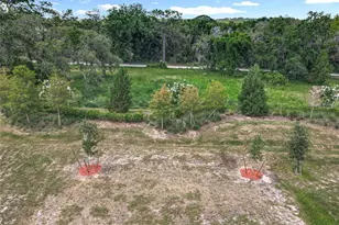 6946 Perch Hammock Loop, Groveland, FL 34736 - Photo 34
