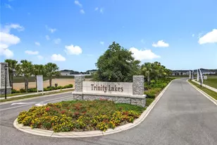 6946 Perch Hammock Loop, Groveland, FL 34736 - Photo 48