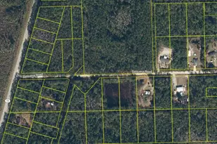 127 E Satsuma St, Palatka, FL 32177 - Photo 1