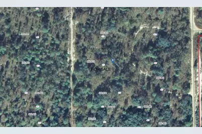 118 Banana Avenue, Pomona Park, FL 32181 - Photo 2