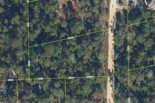 107 Hibiscus St, Pomona Park, FL 32181 - Photo 1