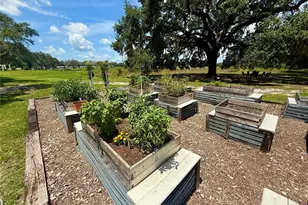 3607 Umbrella Tree Ln, Oxford, FL 34484 - Photo 50