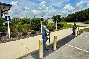 3607 Umbrella Tree Ln, Oxford, FL 34484 - Photo 38