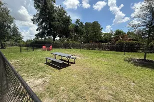 3607 Umbrella Tree Ln, Oxford, FL 34484 - Photo 48