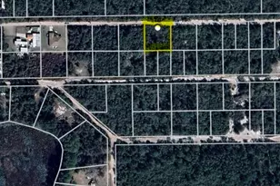 Lot 14-15 SE 144 Pl, Umatilla, FL 32784 - Photo 1