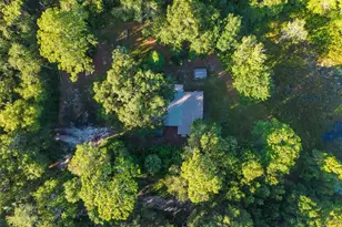 54544 Buckhorn Rd, Astor, FL 32102 - Photo 24