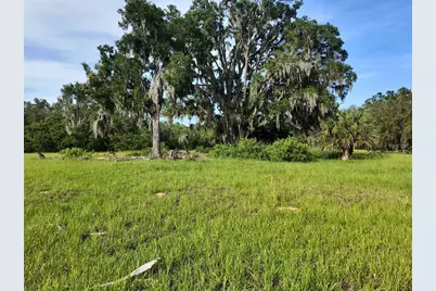 0 Lot 2 Catbrier Lane, Umatilla, FL 32784 - Photo 22