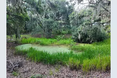 0 Lot 2 Catbrier Lane, Umatilla, FL 32784 - Photo 32