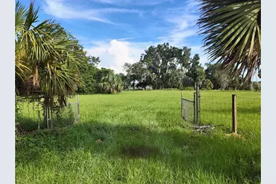 0 Lot 2 Catbrier Lane, Umatilla, FL 32784 - Photo 12