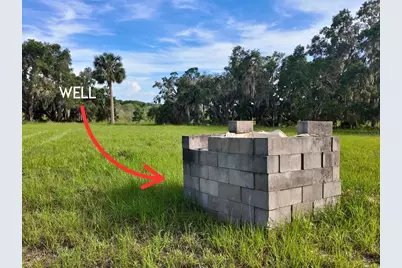 0 Lot 2 Catbrier Lane, Umatilla, FL 32784 - Photo 14