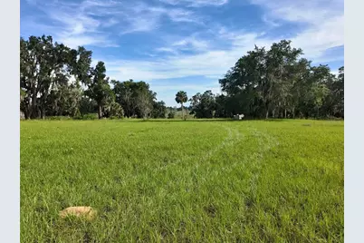 0 Lot 2 Catbrier Lane, Umatilla, FL 32784 - Photo 16