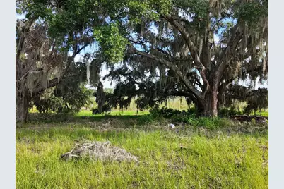 0 Lot 2 Catbrier Lane, Umatilla, FL 32784 - Photo 26