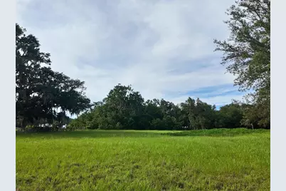 0 Lot 1 Catbrier Lane, Umatilla, FL 32784 - Photo 24