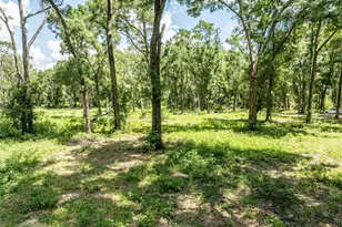 11341 NE 11th Way, Oxford, FL 34484 - Photo 32