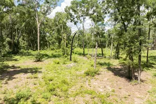 11341 NE 11th Way, Oxford, FL 34484 - Photo 4