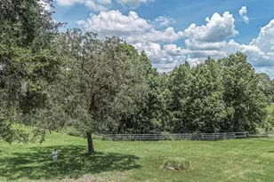 32025 Timberlake Dr, Mount Dora, FL 32757 - Photo 50