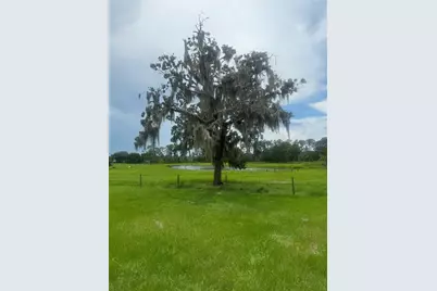 11522 Dead River Road, Tavares, FL 32778 - Photo 16